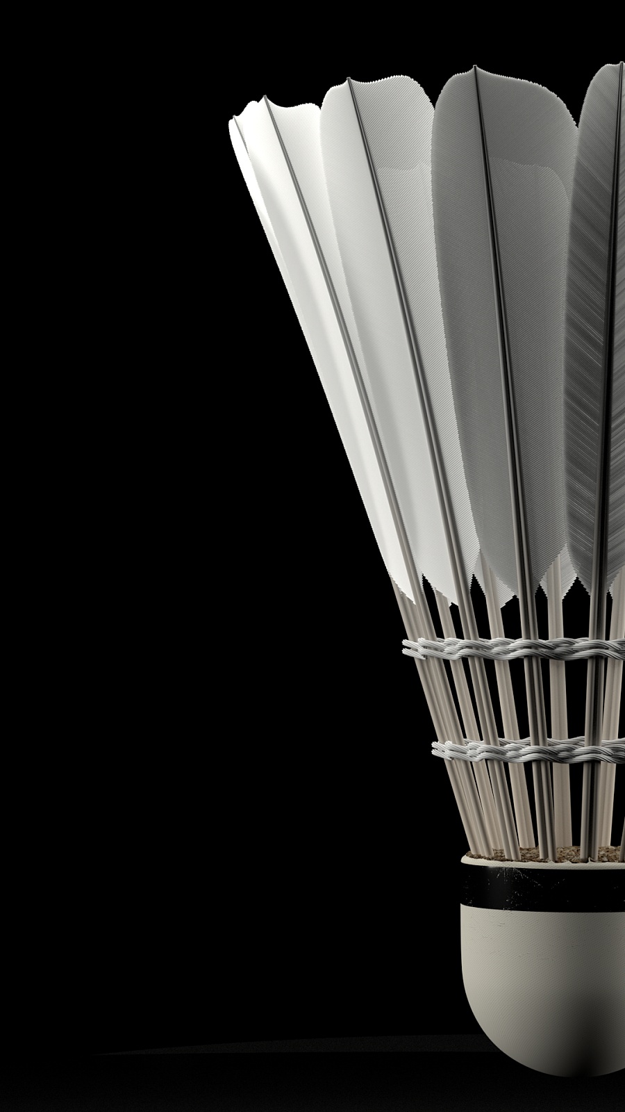 布鲁诺的建 布鲁诺的建