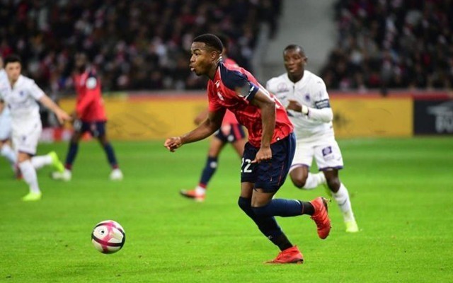 这位法国中 这位法国中