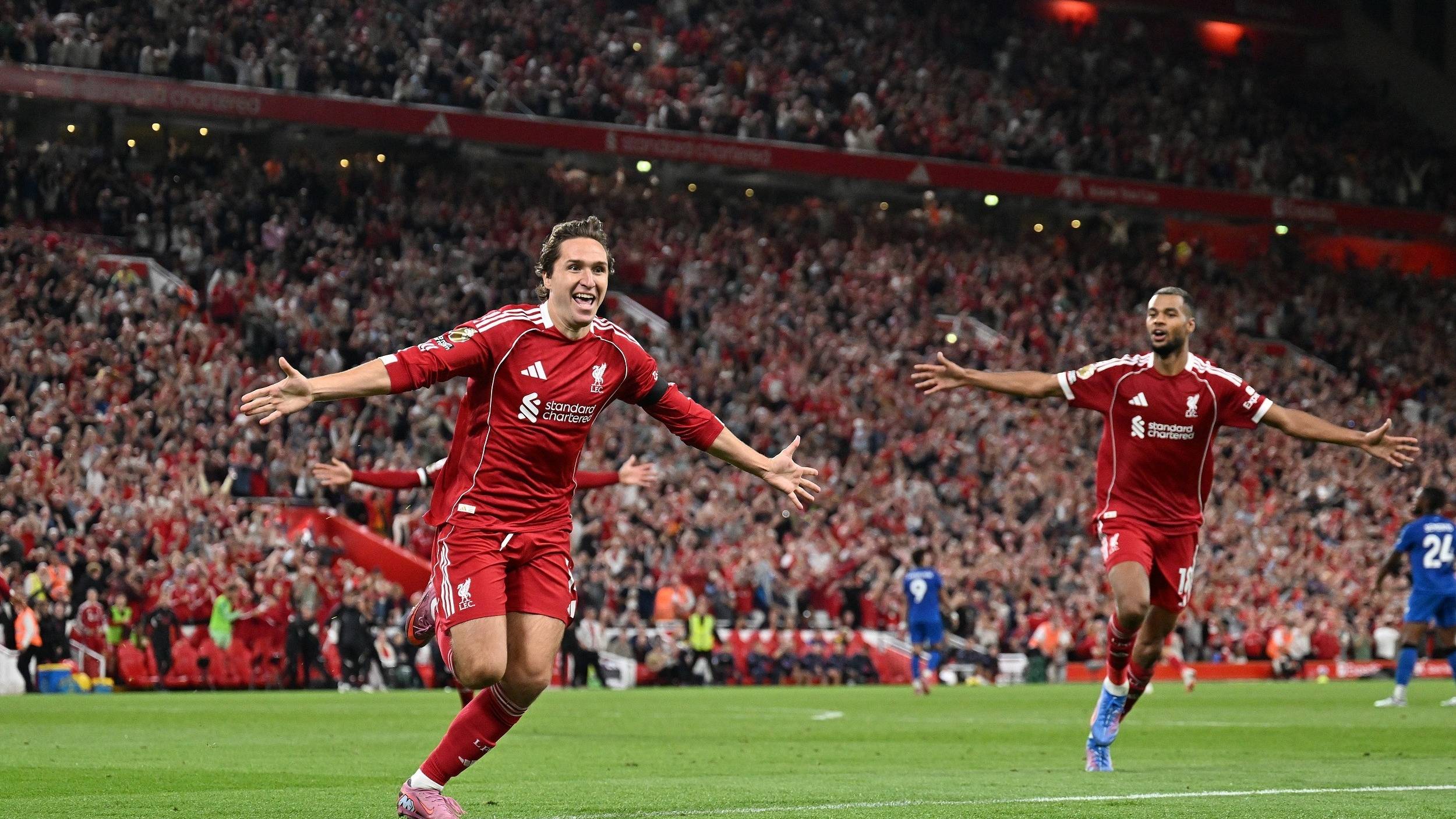 域树立新的 域树立新的